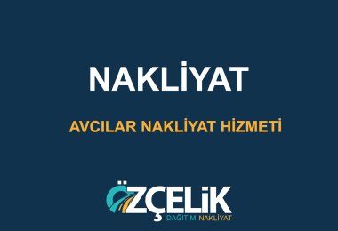 Avcılar Nakliyat Hizmeti
